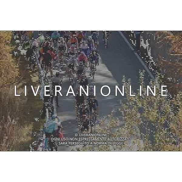 24-10-2020 Giro D\'italia; Tappa 20 Alba - Sestriere; 2020, Team Ineos Grenadiers; Geoghegan, Hart Tao; Swift, Ben; Sestriere; CSIROTTI / AGENZIA ALDO LIVERANI SAS