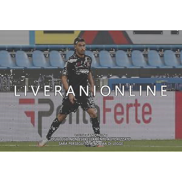 Spal - Vicenza Serie BKT 24/10/2020 nella foto: Matteo Bruscagin(vicenza) ©Claudio Zamagni/Agenzia Aldo Liverani Matteo Bruscagin(vicenza) during Italian Serie BKT soccer match between Spal and Vicenza at Paolo Mazza Stadium in Ferrara on October 24 2020 photo credit by Claudio Zamagni/Aldo Liverani Photo Agency