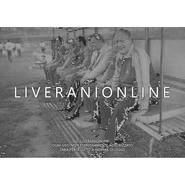 21-06-1984 VERONA ANDATA DI FINALE COPPA ITALIA VERONA ROMA 1-1 NELLA FOTO NILS LIEDHOLM ALLENATORE ROMA CALCIO AG ALDO LIVERANI SAS