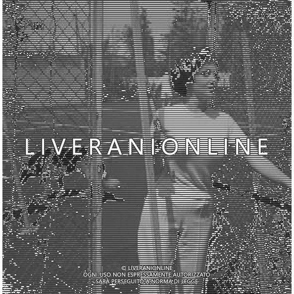 NEG-GINA LOLLOBRIGIDA ATTRICE ITALIANA - RETROSPETTIVA NELLA FOTO CON IL MARITO MILKO SKOFIC A ROMA NELL\'ANNO 1958 GIOCANO A TENNIS NEL GIARDINO DELLA LORO VILLA ©ARCHIVIO GIOVANNI LIVERANI / AG. ALDO LIVERANI SAS