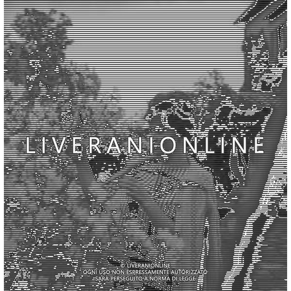 GINA LOLLOBRIGIDA ATTRICE ITALIANA - RETROSPETTIVA NELLA FOTO A ROMA NEGLI ANNI \'60 NEL GIARDINO DELLA SUA VILLA ©ARCHIVIO GIOVANNI LIVERANI / AG. ALDO LIVERANI SAS