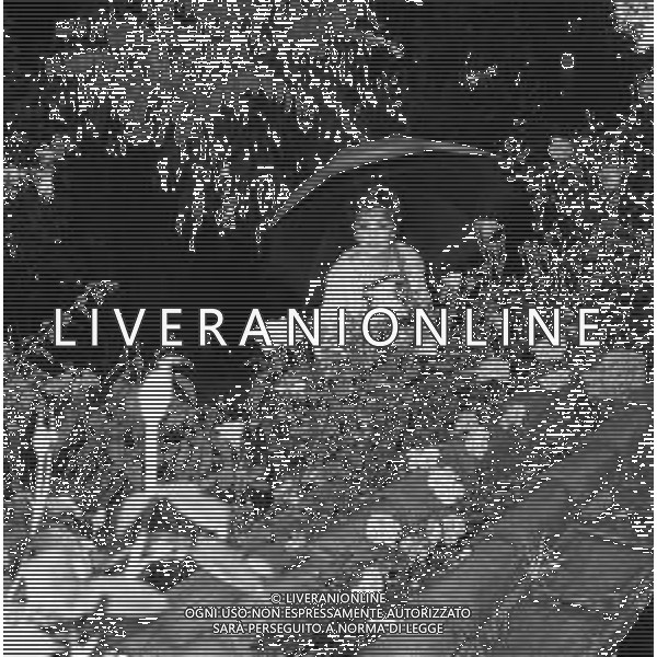 GINA LOLLOBRIGIDA ATTRICE ITALIANA - RETROSPETTIVA NELLA FOTO A ROMA NEGLI ANNI \'60 NEL ROSETO NEL GIARDINO DELLA SUA VILLA SULLA SCALA MENTRE RACCOGLIE LE ROSE ©ARCHIVIO GIOVANNI LIVERANI / AG. ALDO LIVERANI SAS