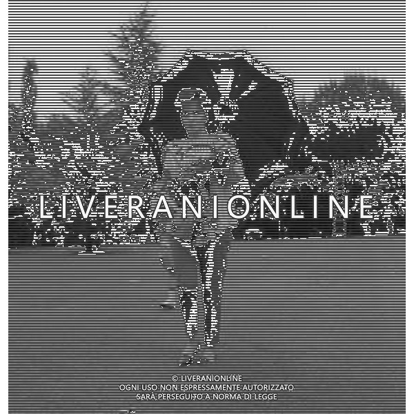 GINA LOLLOBRIGIDA ATTRICE ITALIANA - RETROSPETTIVA NELLA FOTO A ROMA NEGLI ANNI \'60 NEL GIARDINO DELLA SUA VILLA MENTRE RACCOGLIE LE ROSE ©ARCHIVIO GIOVANNI LIVERANI / AG. ALDO LIVERANI SAS
