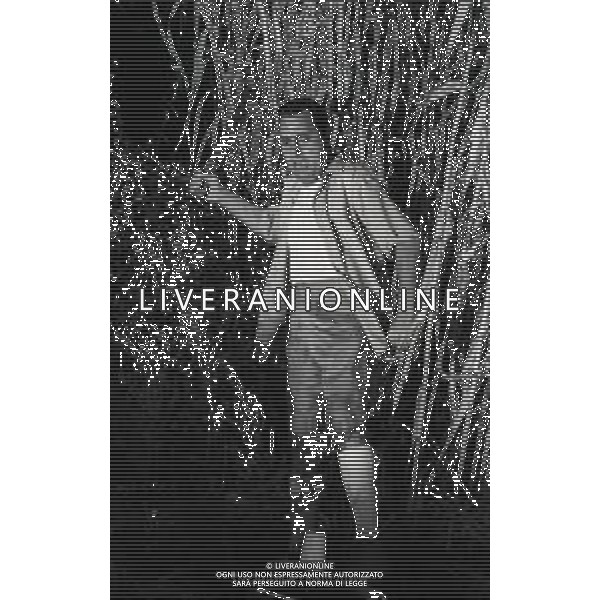 RETROSPETTIVA ALBERTO SORDI ATTORE NELLA FOTO ALBERTO SORDI NEL FILM “ Riusciranno i nostri eroi a ritrovare l\'amico misteriosamente scomparso in Africa?“ NELL\'ANNO 1968 AG ALDO LIVERANI SAS