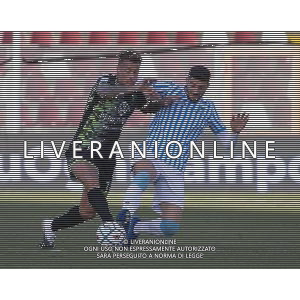 Reggina vs Spal - Italian Football Championship League BKT 2020/2021, 01 November 2020 reggio calabria, Italy Photo showing: German Denis Reggina @LM/Valentina Giannettoni/ AGENZIA ALDO LIVERANI SAS