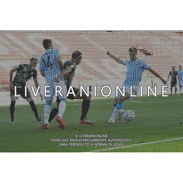 REGGINA - SPAL CAMPIONATO CALCIO SERIE B 01.11.2020 © AGENZIA ALDO LIVERANI SAS