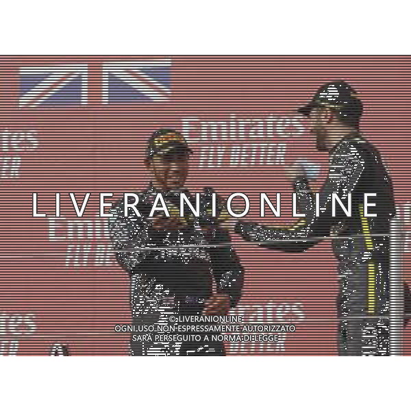 Formula 1 Emirates Gran Premio Dell\'emilia Romagna 2020, Emilia Romagna Grand Prix - Sunday - Formula 1 Championship, 01 November 2020 Autodromo Internazionale Enzo e Dino Ferrari, imola (bo), Italy Photo showing: HAMILTON Lewis (gbr), Mercedes AMG F1 GP W11 Hybrid EQ Power+, RICCIARDO Daniel (aus), Renault F1 Team RS20, shoey @LM/DPPI/DPPI/Dppi AG ALDO LIVERANI SAS
