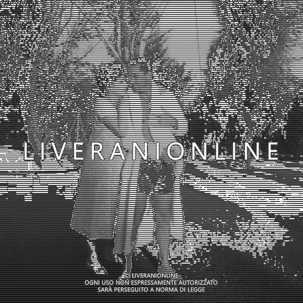 GINA LOLLOBRIGIDA ATTRICE ITALIANA - RETROSPETTIVA NELLE FOTO (INCINTA) NEL GIARDINO DELLA SUA VILLA A ROMA NEL 1957 CON IL MARITO MILKO SKOFIC ©ARCHIVIO GIOVANNI LIVERANI / AG. ALDO LIVERANI SAS