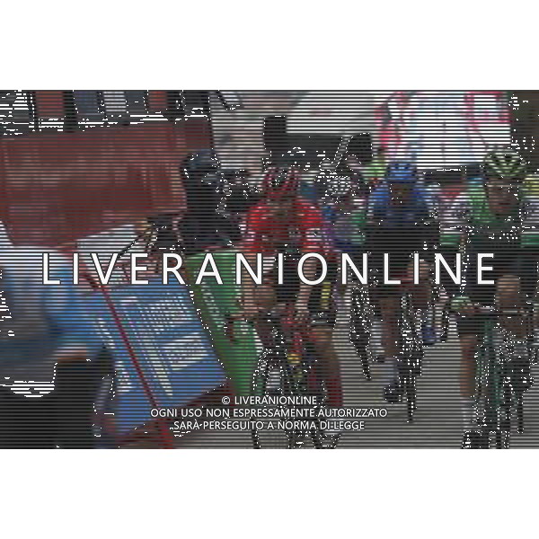04-11-2020 Vuelta A Espana; Tappa 14 Lugo - Ourense; 2020, Jumbo - Visma; Roglic, Primoz; Ourense; ©SIROTTI / AGENZIA ALDO LIVERANI SAS