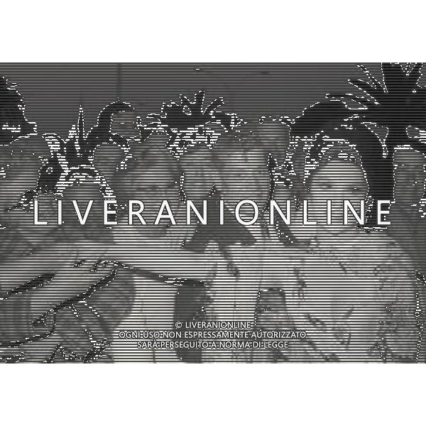 RETROSPETTIVA GINA LOLLOBRIGIDA ATTRICE NELLA FOTO GINA LOLLOBRIGIDA AL FESTIVAL INTERNAZIONALE DEL CINEMA DI CANNES NELL\'ANNO 1972 AG ALDO LIVERANI SAS