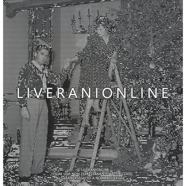 RETROSPETTIVA GINA LOLLOBRIGIDA ATTRICE NELLA FOTO GINA LOLLOBRIGIDA NELLA SUA CASA A ROMA PREPARA L\'ALBERO DI NATALE AG ALDO LIVERANI SAS  