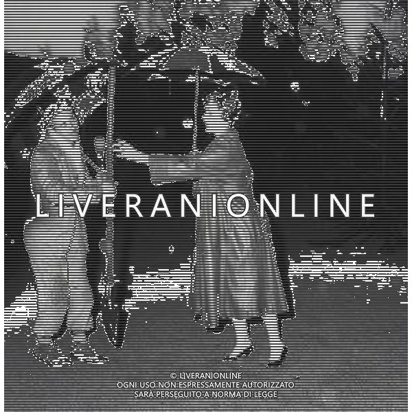 RETROSPETTIVA GINA LOLLOBRIGIDA ATTRICE NELLA FOTO GINA LOLLOBRIGIDA NELLA SUA CASA A ROMA PREPARA L\'ALBERO DI NATALE AG ALDO LIVERANI SAS  