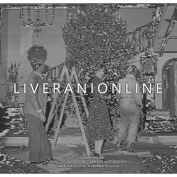 RETROSPETTIVA GINA LOLLOBRIGIDA ATTRICE NELLA FOTO GINA LOLLOBRIGIDA NELLA SUA CASA A ROMA PREPARA L\'ALBERO DI NATALE AG ALDO LIVERANI SAS  