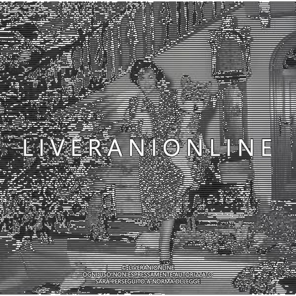 RETROSPETTIVA GINA LOLLOBRIGIDA ATTRICE NELLA FOTO GINA LOLLOBRIGIDA NELLA SUA CASA A ROMA PREPARA L\'ALBERO DI NATALE AG ALDO LIVERANI SAS  