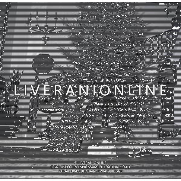 RETROSPETTIVA GINA LOLLOBRIGIDA ATTRICE NELLA FOTO GINA LOLLOBRIGIDA NELLA SUA CASA A ROMA PREPARA L\'ALBERO DI NATALE AG ALDO LIVERANI SAS  