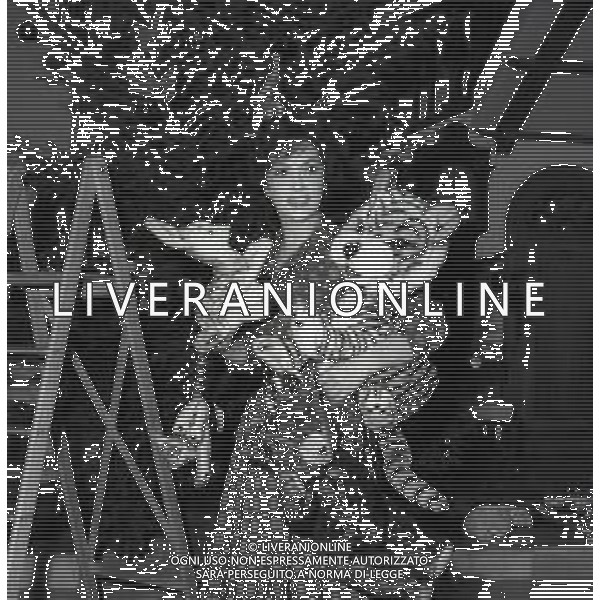 RETROSPETTIVA GINA LOLLOBRIGIDA ATTRICE NELLA FOTO GINA LOLLOBRIGIDA NELLA SUA CASA A ROMA PREPARA L\'ALBERO DI NATALE AG ALDO LIVERANI SAS  