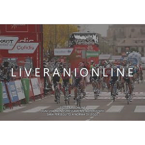 06-11-2020 Vuelta A Espana; Tappa 16 Salamanca - Ciudad Rodrigo; 2020, Ef; 2020, Jumbo - Visma; 2020, Movistar; 2020, Uae - Emirates; Nielsen Magnus, Cort; Roglic, Primoz; Valverde, Alejandro; Faria Da Costa, Alberto Rui; Ciudad Rodrigo; ©SIROTTI / AGENZIA ALDO LIVERANI SAS