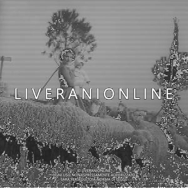 GINA LOLLOBRIGIDA ATTRICE ITALIANA - RETROSPETTIVA NELLA FOTO A ROMA NELLA SUA CASA CON IL FIGLIO ANDREA MILKO SKOFIC JR NEL 1957 ©ARCHIVIO GIOVANNI LIVERANI / AG. ALDO LIVERANI SAS