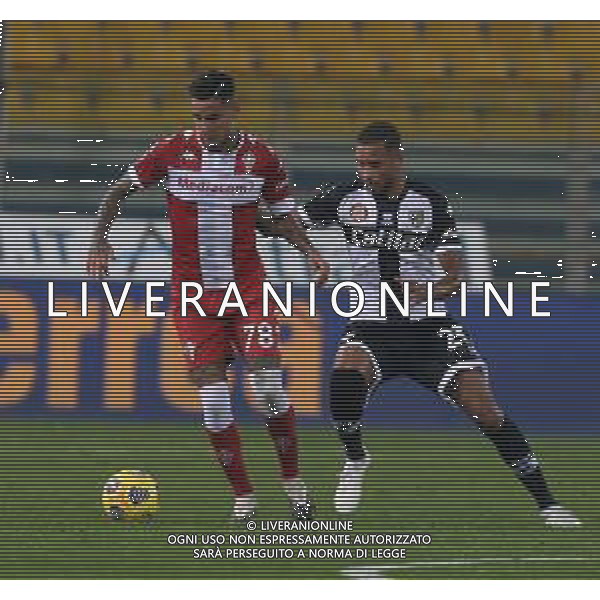 PARMA - FIORENTINA CAMPIONATO CALCIO SERIE A TIM 07.11.2020 NELLA FOTO erick pulgar e hernani jr ©SANTANDREA / AGENZIA ALDO LIVERANI SAS