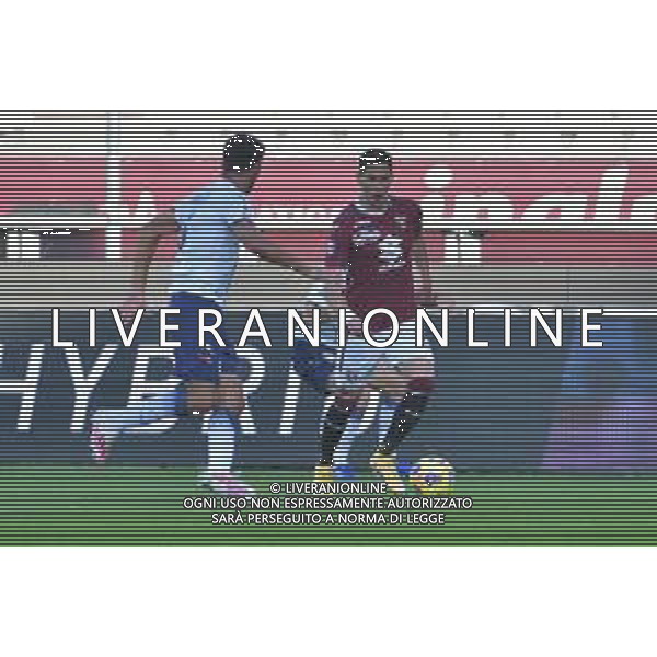 Torino 08.11.2020 Stadio Olimpico Grande Torino ©Alessandro Falzone/Agenzia Aldo Liverani Torino vs Crotone Serie A Tim 2020-2021 Nella foto : SASA LUKIC ©Falzone / AGENZIA ALDO LIVERANI SAS