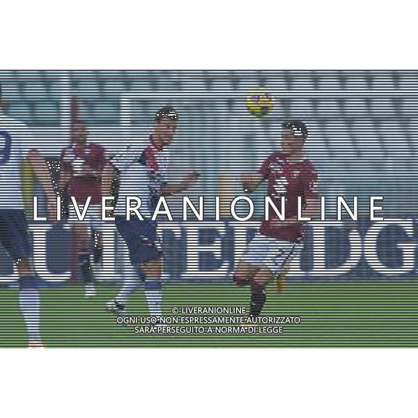 Torino 08.11.2020 Stadio Olimpico Grande Torino ©Alessandro Falzone/Agenzia Aldo Liverani Torino vs Crotone Serie A Tim 2020-2021 Nella foto : MILOS VULIC-SASA LUKIC ©Falzone / AGENZIA ALDO LIVERANI SAS