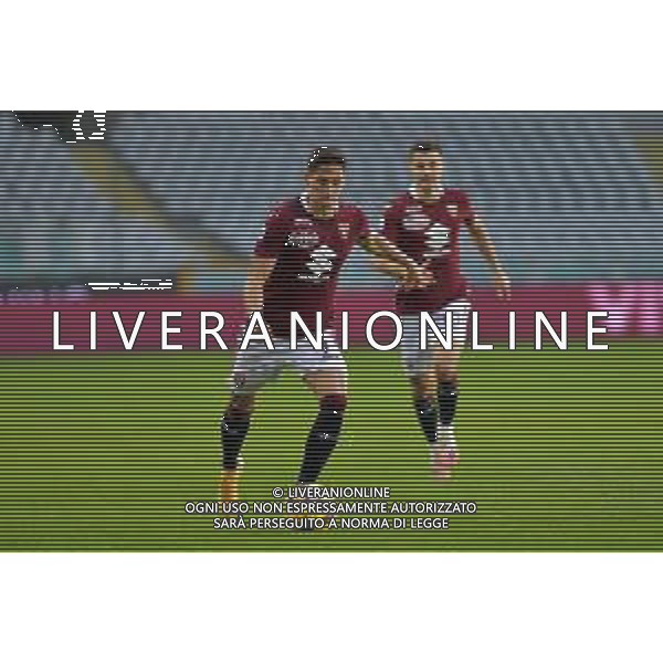 Torino 08.11.2020 Stadio Olimpico Grande Torino ©Alessandro Falzone/Agenzia Aldo Liverani Torino vs Crotone Serie A Tim 2020-2021 Nella foto : SASA LUKIC ©Falzone / Agenzia Aldo Liverani Sas