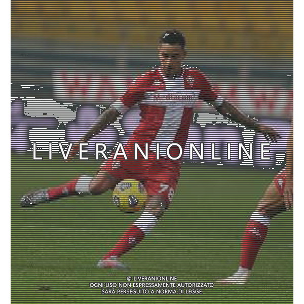 PARMA - FIORENTINA CAMPIONATO CALCIO SERIE A TIM 07.11.2020 NELLA FOTO ERICK PULGAR ©SANTANDREA / AGENZIA ALDO LIVERANI SAS
