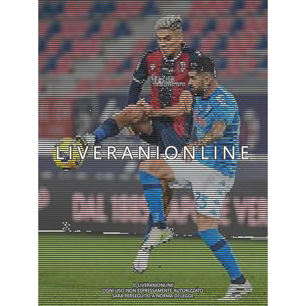 Bologna Calcio vs SSC Napoli - Italian soccer Serie A match 2020/2021, 08 November 2020 Dall&#39;Ara stadium, Bologna, Italy Photo showing: Elseid Hysaj (Napoli) hampered by Nicolas Dominguez (Bologna) @LM/Ettore Griffoni AG ALDO LIVERANI SAS