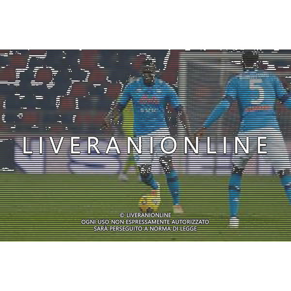 BOLOGNA - NAPOLI CAMPIONATO CALCIO SERIE A TIM 08.11.2020 NELLA FOTO Koulibaly Kalidou ©Roberto Villani / AGENZIA ALDO LIVERANI SAS