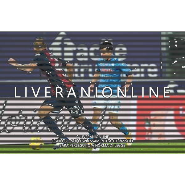 BOLOGNA - NAPOLI CAMPIONATO CALCIO SERIE A TIM 08.11.2020 NELLA FOTO Lozano Rodrigo e Danilo Larangeira ©Roberto Villani / AGENZIA ALDO LIVERANI SAS