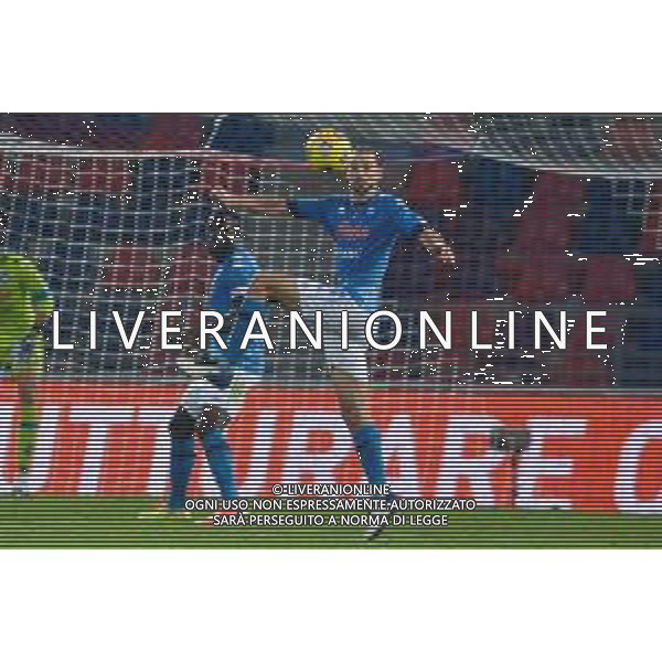 BOLOGNA - NAPOLI CAMPIONATO CALCIO SERIE A TIM 08.11.2020 NELLA FOTO Fabian Ruiz ©Roberto Villani / AGENZIA ALDO LIVERANI SAS
