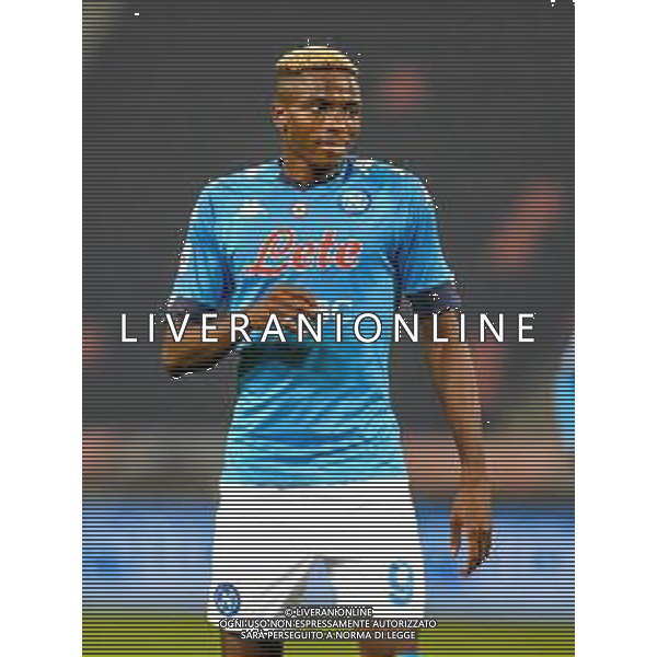 Bologna Calcio vs SSC Napoli - Italian soccer Serie A match 2020/2021, 08 November 2020 Dall&#39;Ara stadium, Bologna, Italy Photo showing: Victor Osimhen (Napoli) @LM/Ettore Griffoni AG ALDO LIVERANI SAS