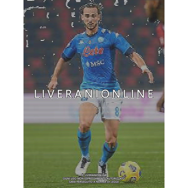 Bologna Calcio vs SSC Napoli - Italian soccer Serie A match 2020/2021, 08 November 2020 Dall&#39;Ara stadium, Bologna, Italy Photo showing: Fabian Ruiz (Napoli) @LM/Ettore Griffoni AG ALDO LIVERANI SAS