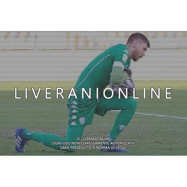 Cosenza vs Brescia - Campionato di Calcio Serie BKT 2020/2021, 07 novembre 2020 Stadio San Vito Gigi Marulla, Cosenza, Italia Nella foto: Joronen Jesse Pekka Brescia @LM/Valentina Giannettoni AG ALDO LIVERANI SAS