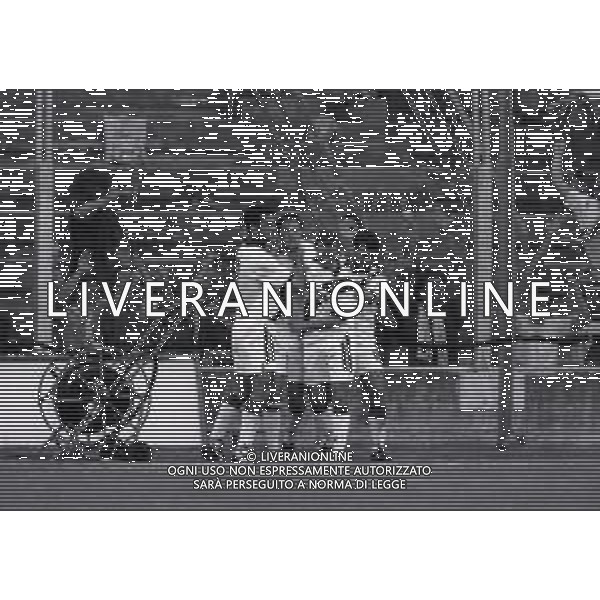 16-05-1993 CREMONA-CAMPIONATO DI CALCIO SERIE B CREMONESE BOLOGNA 2-2 NELLA FOTO ABBRACCI GIOCATORI BOLOGNA DOPO IL GOAL AG ALDO LIVERANI SAS