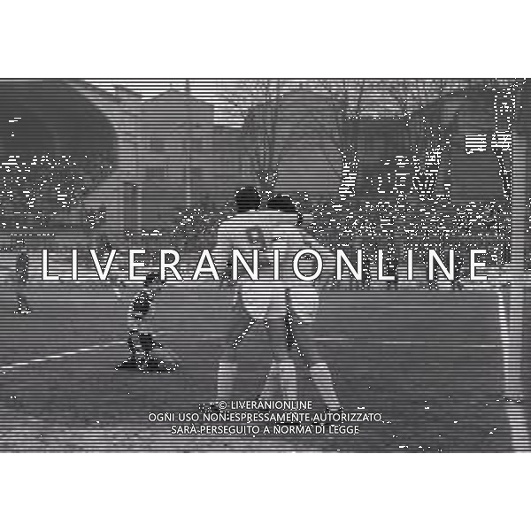 22-01-1984 CREMONA CAMPIONATO DI CALCIO SERIE B CREMONESE PERUGIA 3-1 NELLA FOTO ABBRACCI GIOCATORI CREMONESE DOPO IL GOAL AG ALDO LIVERANI SAS
