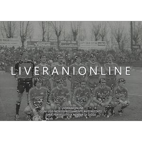 22-01-1984 MONZA CAMPIONATO DI CALCIO SERIE B MONZA PALERMO 1-0 NELLA FOTO LA FORMAZIONE DEL MONZA CALCIO 1983-1984 AG ALDO LIVERANI SAS