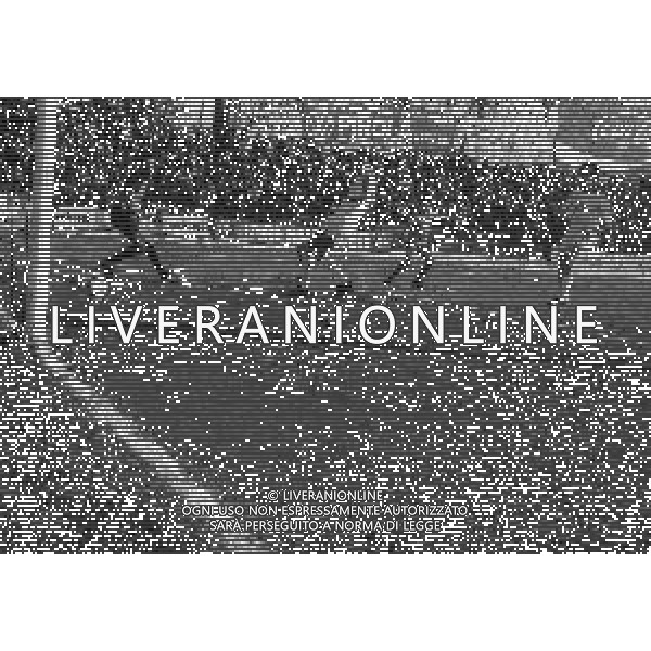 15-12-1985 MONZA CAMPIONATO DI CALCIO SERIE B MONZA CREMONESE 1-1 NELLA FOTO GOAL MARCO BOLIS AG ALDO LIVERANI SAS