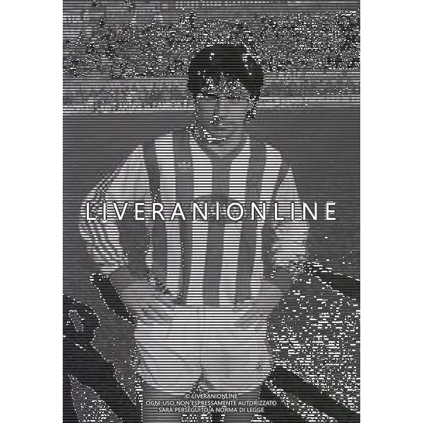 1985-1986 PRIMI PIANI ROSA L.R.VICENZA CALCIO NELLA FOTO ELIGIO NICOLINI AG ALDO LIVERANI SAS
