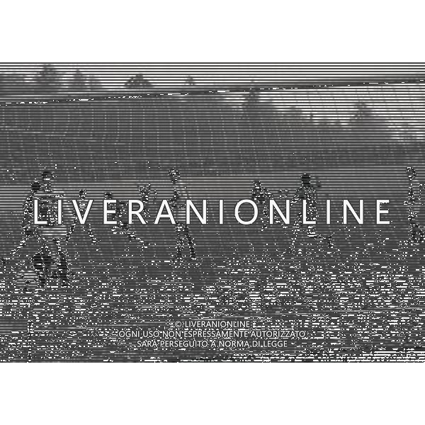 25-11-1984 VARESE CAMPIONATO DI CALCIO SERIE B VARESE PISA 1-1 NELLA FOTO GOAL MICHELE ARMENISE AG ALDO LIVERANI SAS