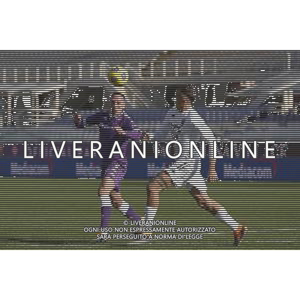 Fiorentina - Benevento Campionato di Calcio Serie A TIM 22/11/2020 nella foto: Rybery Franck (acf Fiorentina) Importa Riccardo(Benevento Calcio) ©Claudio Zamagni/Agenzia Aldo Liverani during Italian Serie A soccer match between FIORENTINA and BENEVENTO at Artemio Franchi Stadium on November 22 2020 in Florence. photo credit by Claudio Zamagni/Aldo Liverani Photo Agency/AGENZIA ALDO LIVERANI SAS