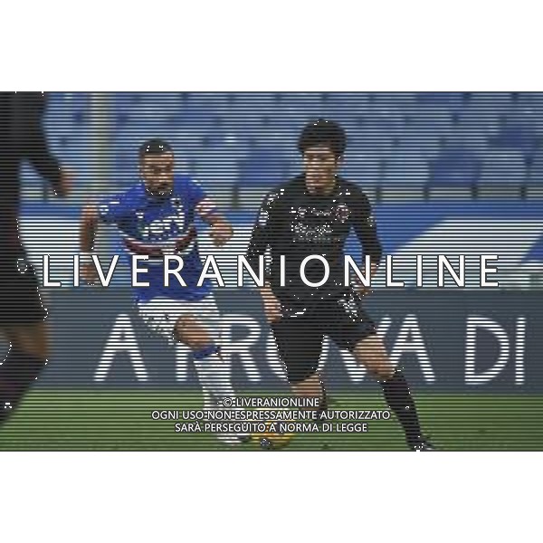 Sampdoria vs Bologna - Italian football Serie A match 2020/2021, 22 November 2020 Luigi Ferraris stadium, Genova, Italy Photo showing: FABIO QUAGLIARELLA (Sampdoria), Takehiro Tomiyasu (Bologna) @LM/Danilo Vigo/AGENZIA ALDO LIVERANI SAS
