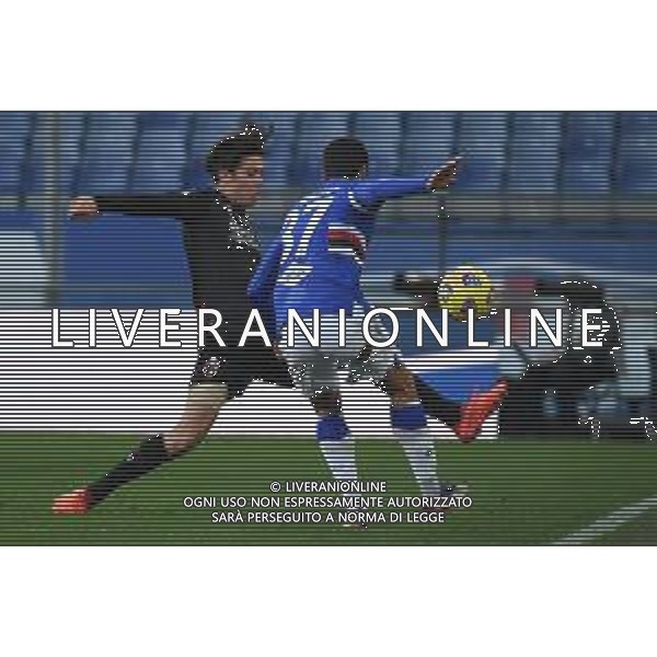 Sampdoria vs Bologna - Italian football Serie A match 2020/2021, 22 November 2020 Luigi Ferraris stadium, Genova, Italy Photo showing: Aaron Hickey (Bologna), ANTONIO CANDREVA (Sampdoria) @LM/Danilo Vigo/AGENZIA ALDO LIVERANI SAS