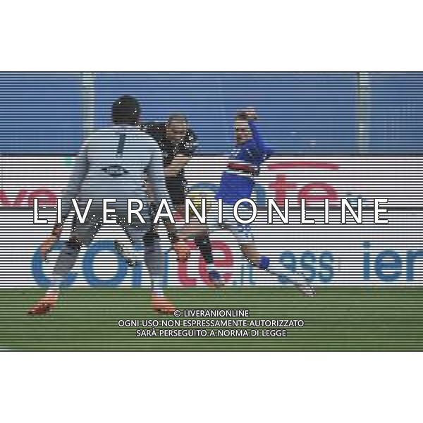 Sampdoria vs Bologna - Italian football Serie A match 2020/2021, 22 November 2020 Luigi Ferraris stadium, Genova, Italy Photo showing: Rodrigo Palacio (Bologna), MIKKEL DAMSGAARD (Sampdoria) @LM/Danilo Vigo/AGENZIA ALDO LIVERANI SAS
