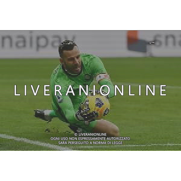 Samir Handanovic (Inter) Inter vs Torino Campionato Serie A TIM - 8a giornata Milano 22-11-2020 Stadio Giuseppe Meazza - San Siro foto Roberto Garavaglia/ag.Aldo Liverani sas