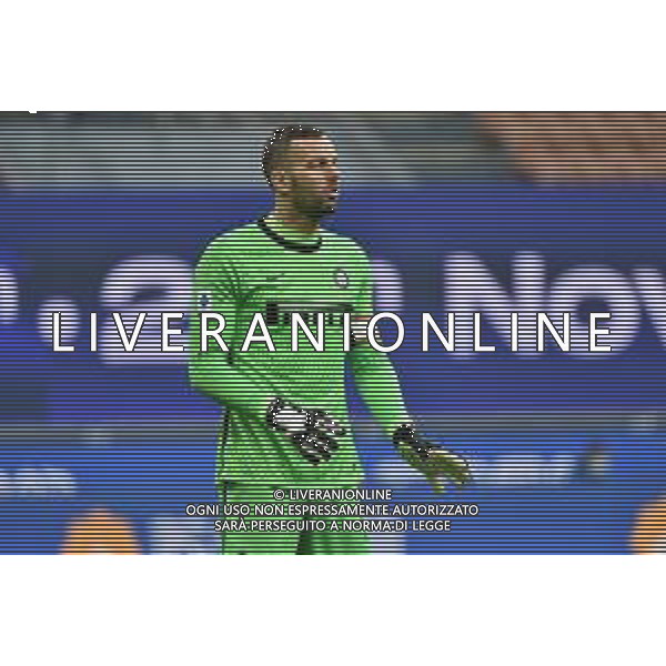 Samir Handanovic (Inter) Inter vs Torino Campionato Serie A TIM - 8a giornata Milano 22-11-2020 Stadio Giuseppe Meazza - San Siro foto Roberto Garavaglia/ag.Aldo Liverani sas