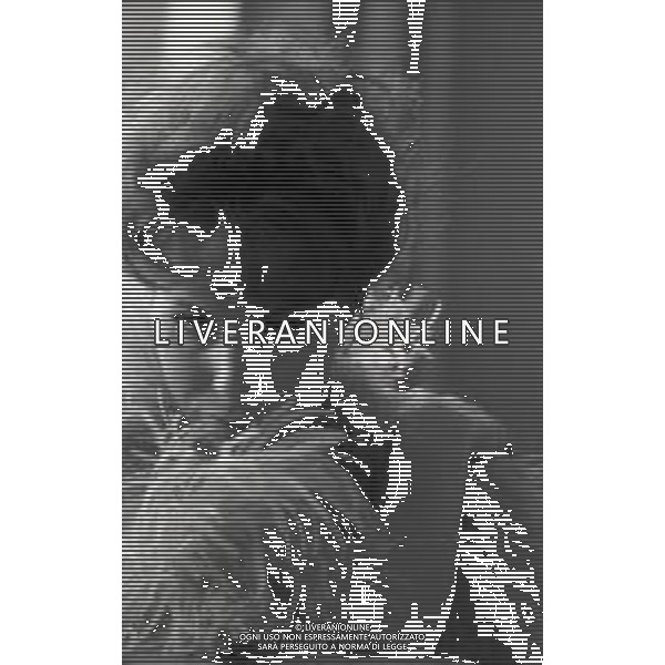 RETROSPETTIVA ORNELLA VANONI CANTANTE NELLA FOTO ORNELLA VANONI A NEW YORK NELL\'ANNO 1963 AG ALDO LIVERANI SAS