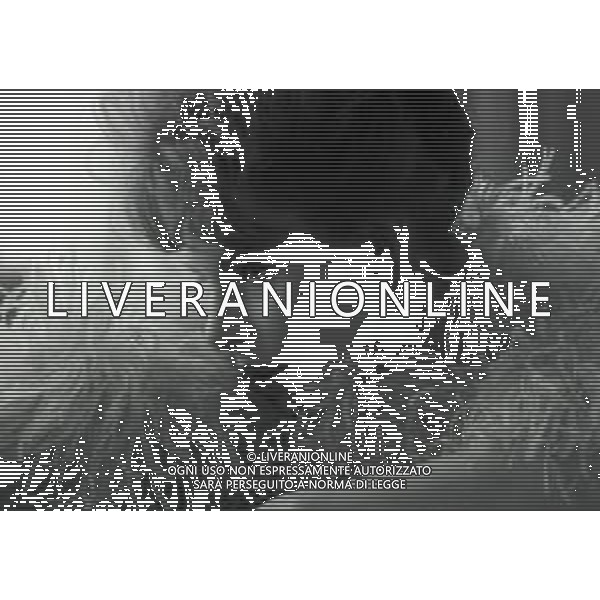 RETROSPETTIVA ORNELLA VANONI CANTANTE NELLA FOTO ORNELLA VANONI A NEW YORK NELL\'ANNO 1963 AG ALDO LIVERANI SAS