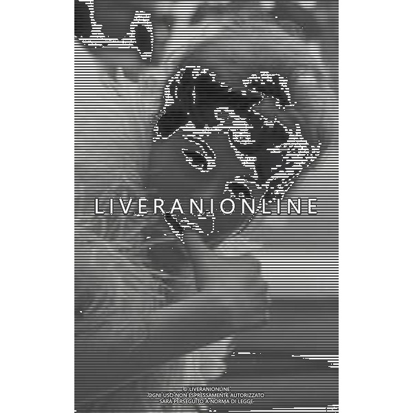 RETROSPETTIVA ORNELLA VANONI CANTANTE NELLA FOTO ORNELLA VANONI A NEW YORK NELL\'ANNO 1963 AG ALDO LIVERANI SAS