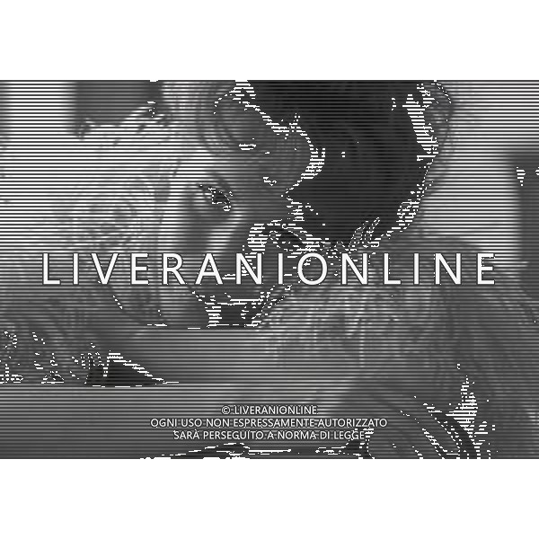 RETROSPETTIVA ORNELLA VANONI CANTANTE NELLA FOTO ORNELLA VANONI A NEW YORK NELL\'ANNO 1963 AG ALDO LIVERANI SAS